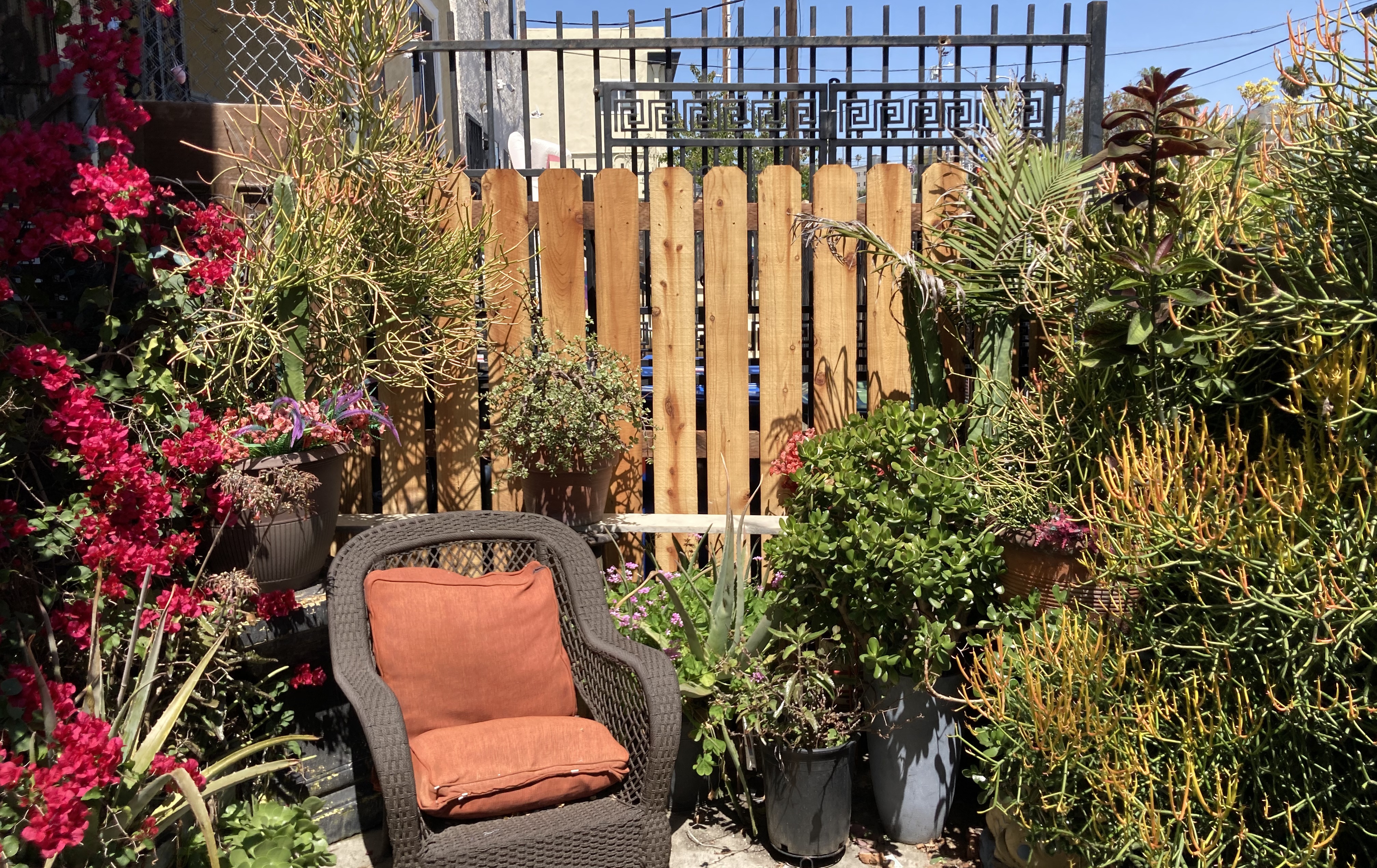 Landscape backyard fence in Boyle Heights with custom woodwork and planters